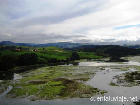 Parque Natural de Oyambre.